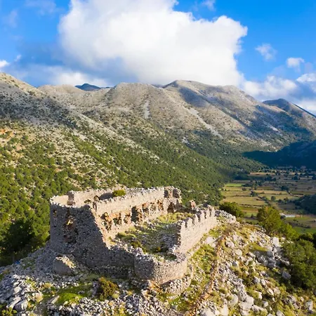 Dimitris